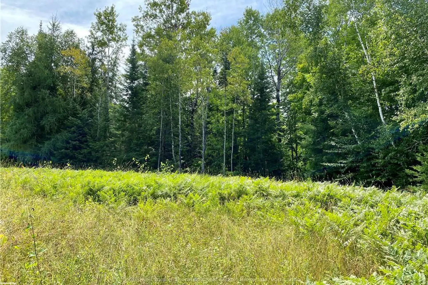 Lot 6-A 522 photo 2