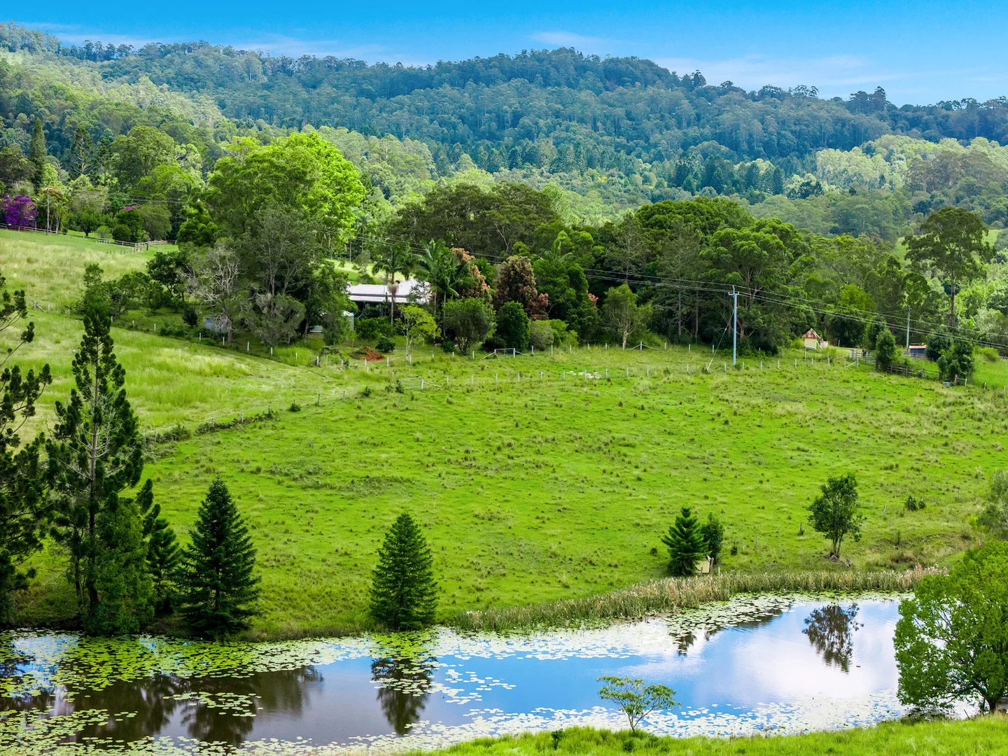 Additional image 18 of 219 Stony Chute Road, Nimbin NSW 2480