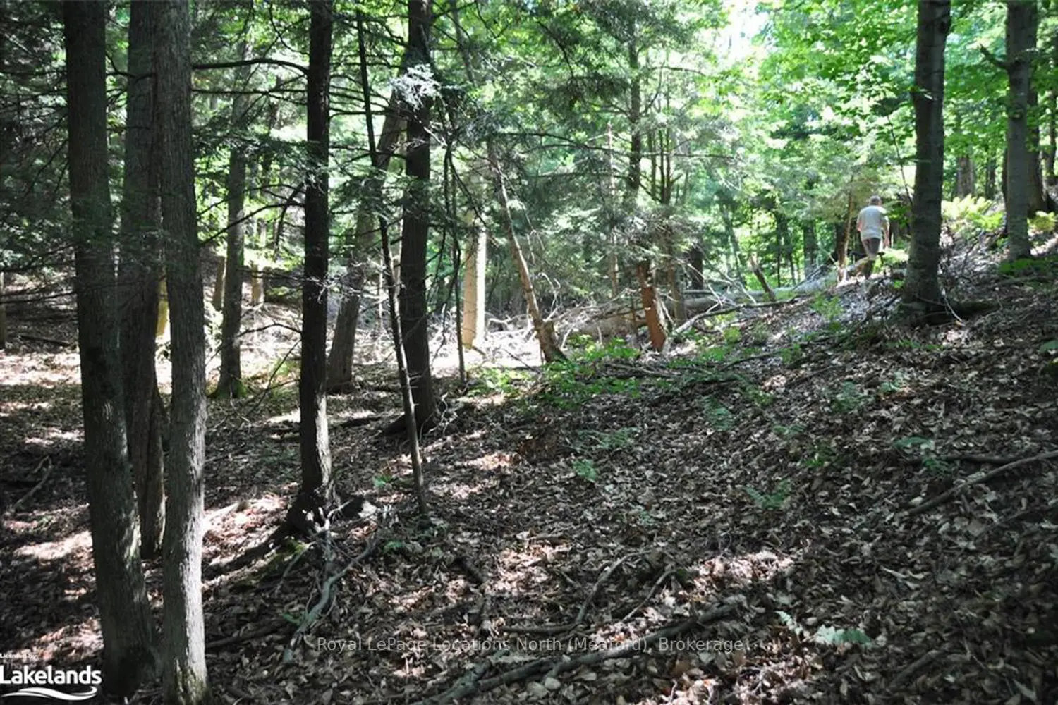 Additional image 16 of Lot 21 Bayshore Road