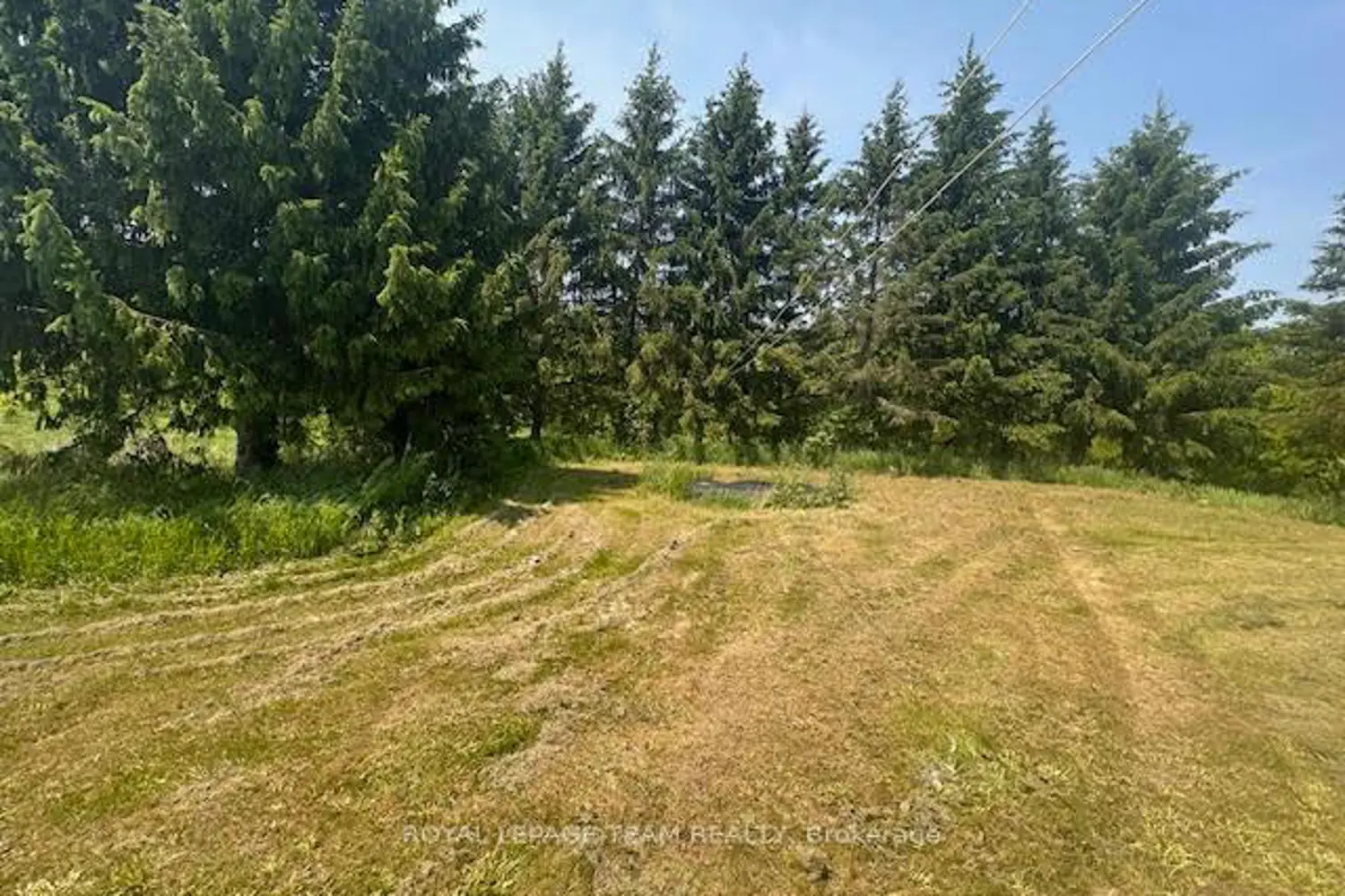 Additional image 9 of 5296 Panmure Road