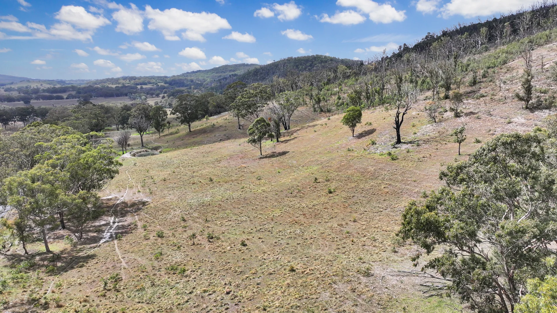 Additional image 4 of 692 Billirimba Road, Tenterfield NSW 2372