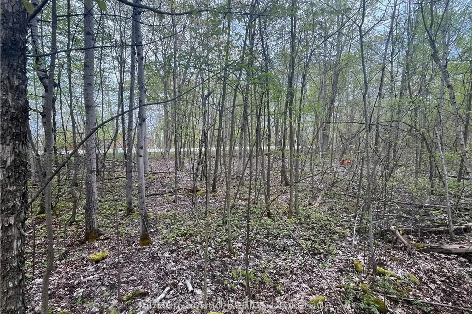Additional image 3 of Lot 5 Grey Road 1