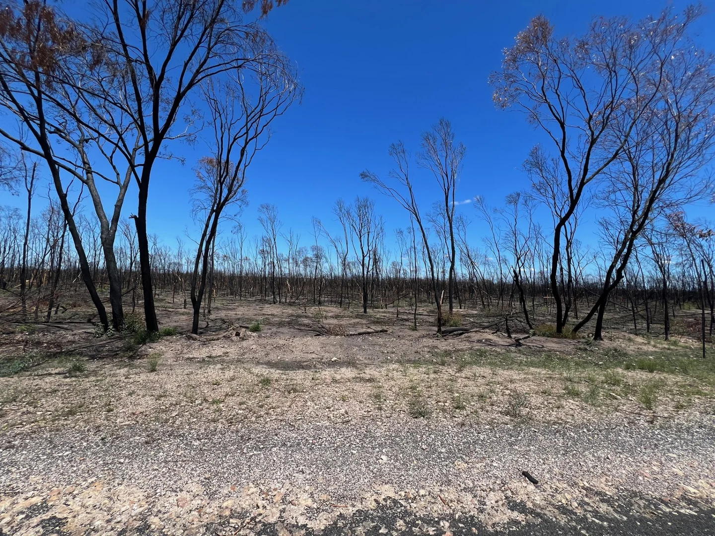 Additional image 2 of Lot 16 Tara-Chinchilla Road, Tara QLD 4421