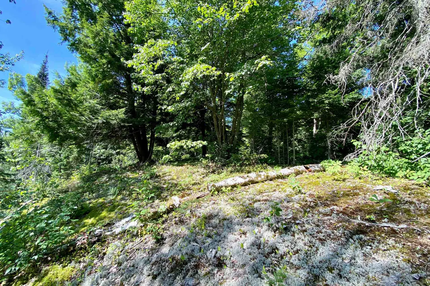 Additional image 4 of 0 Conc. Rd 10 And 11 Concession