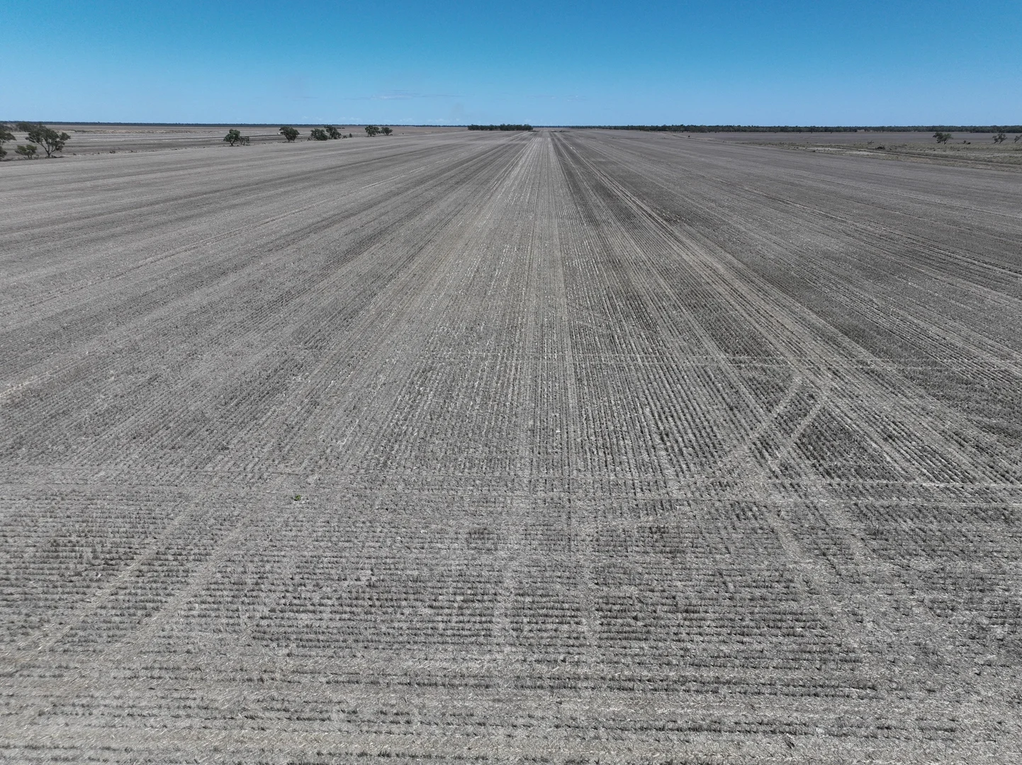 Additional image 32 of . Sunnyside Lane, Wee Waa NSW 2388