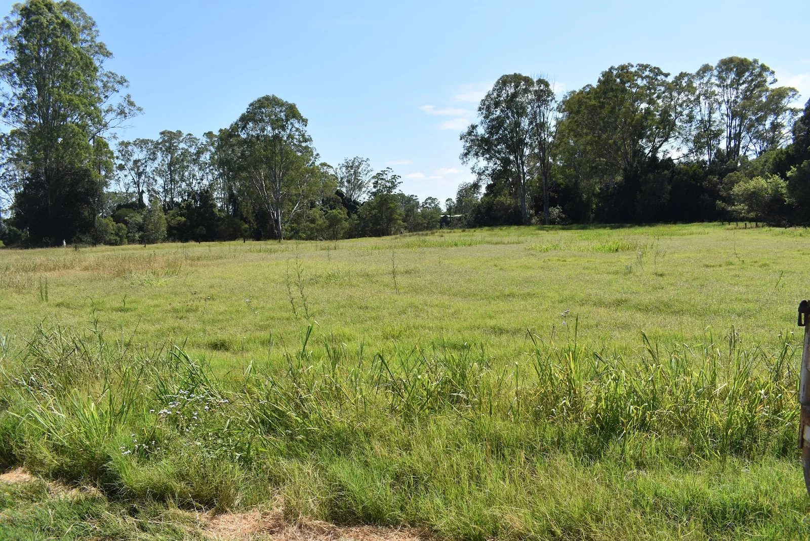 Additional image 17 of lot 103 Pidgeons Road, Tiaro QLD 4650