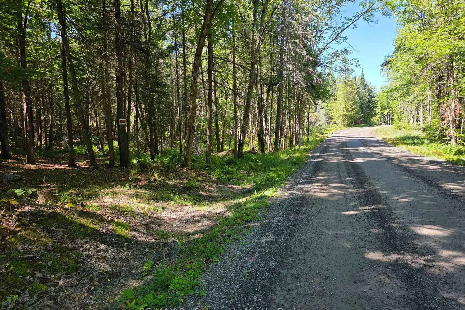 Additional image 4 of 00 Whitney Road