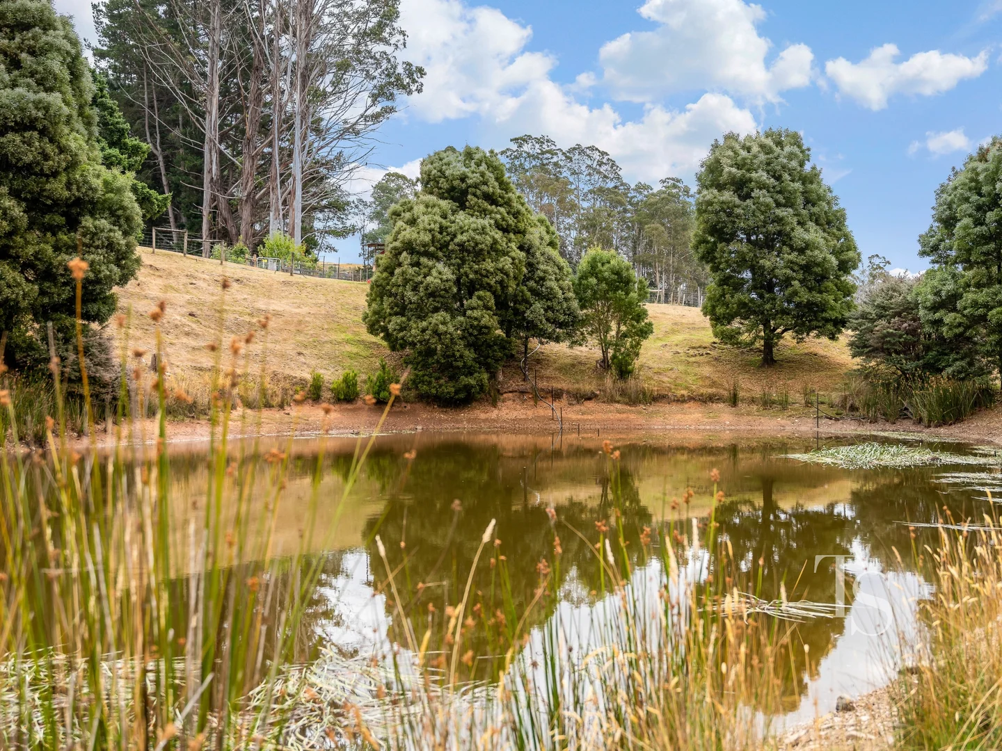 Additional image 24 of 429 Liena Road, Mole Creek TAS 7304