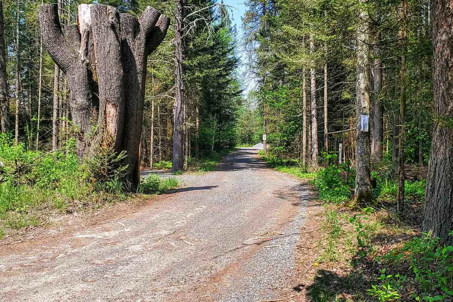 Additional image 10 of 297 Joly Strong Road