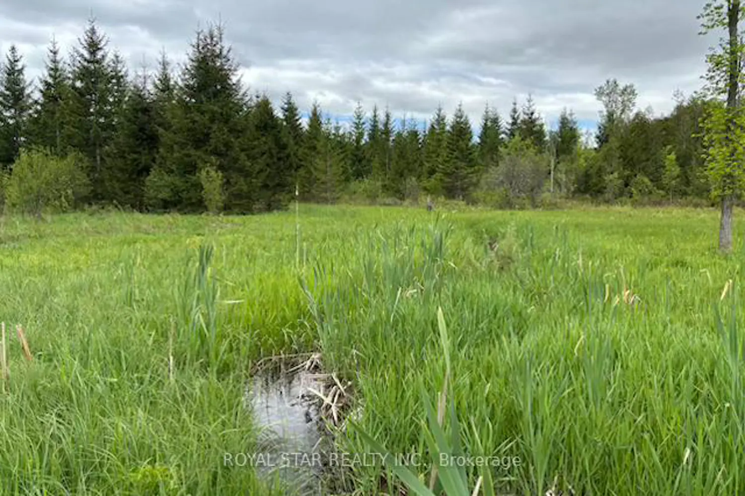 Additional image 9 of 104264 Grey Road 18