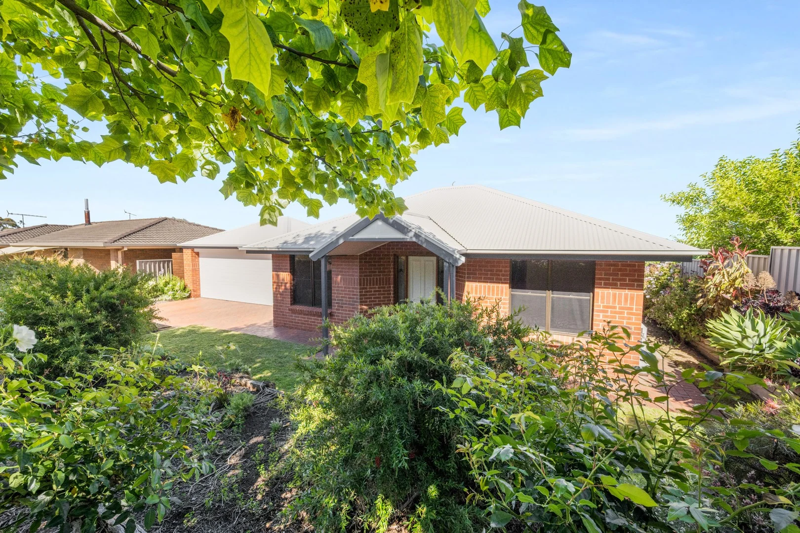 11 Ibis Street, Mount Gambier SA 5290