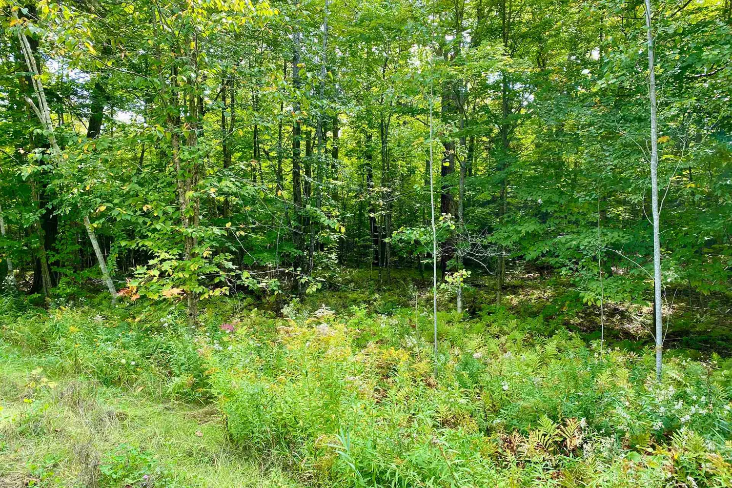 0 Brown Lane photo 2
