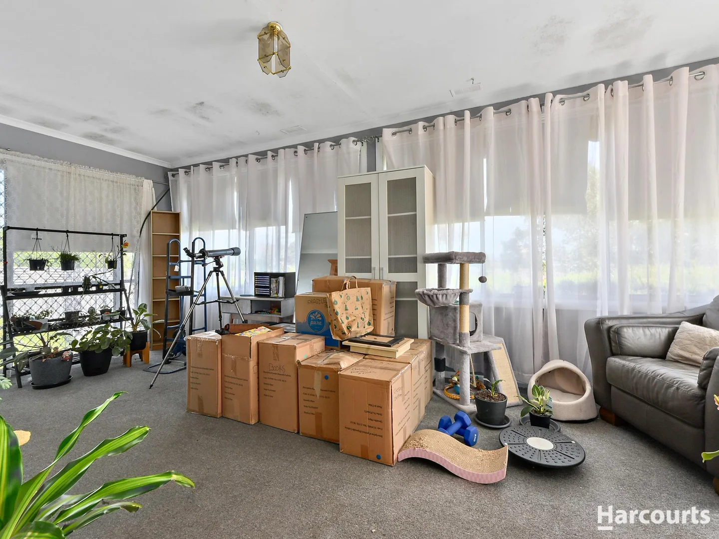 Additional image 6 of 72 Friend Street, George Town TAS 7253