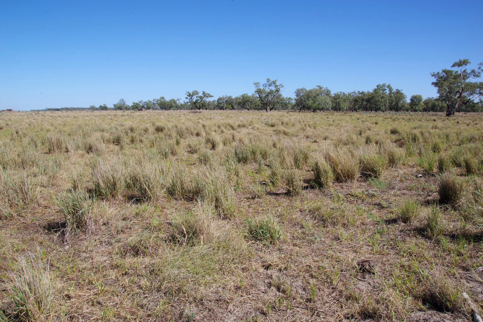 Additional image 8 of . Sunnyside Lane, Wee Waa NSW 2388