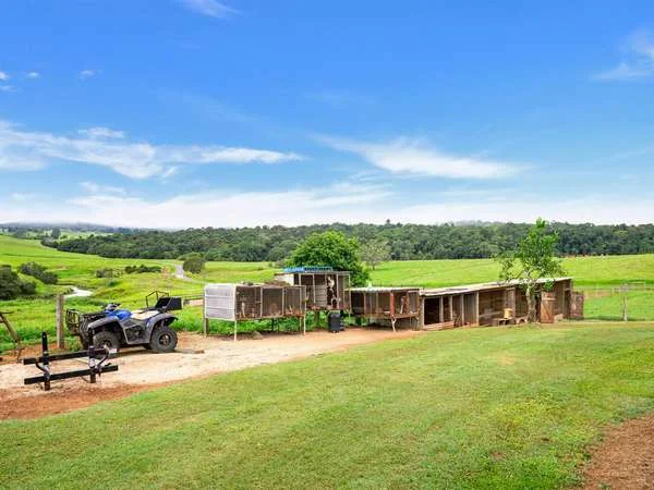 Additional image 18 of 464 Boar Pocket Road, Yungaburra QLD 4884