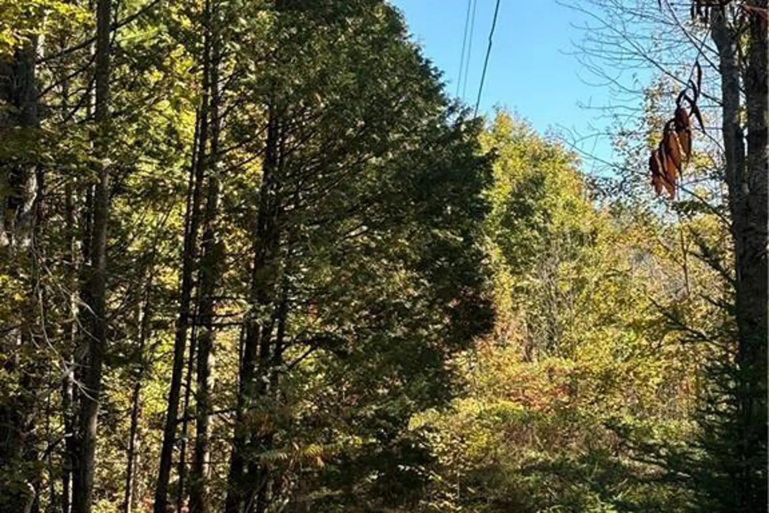 1077 Muller Point Lane photo 2