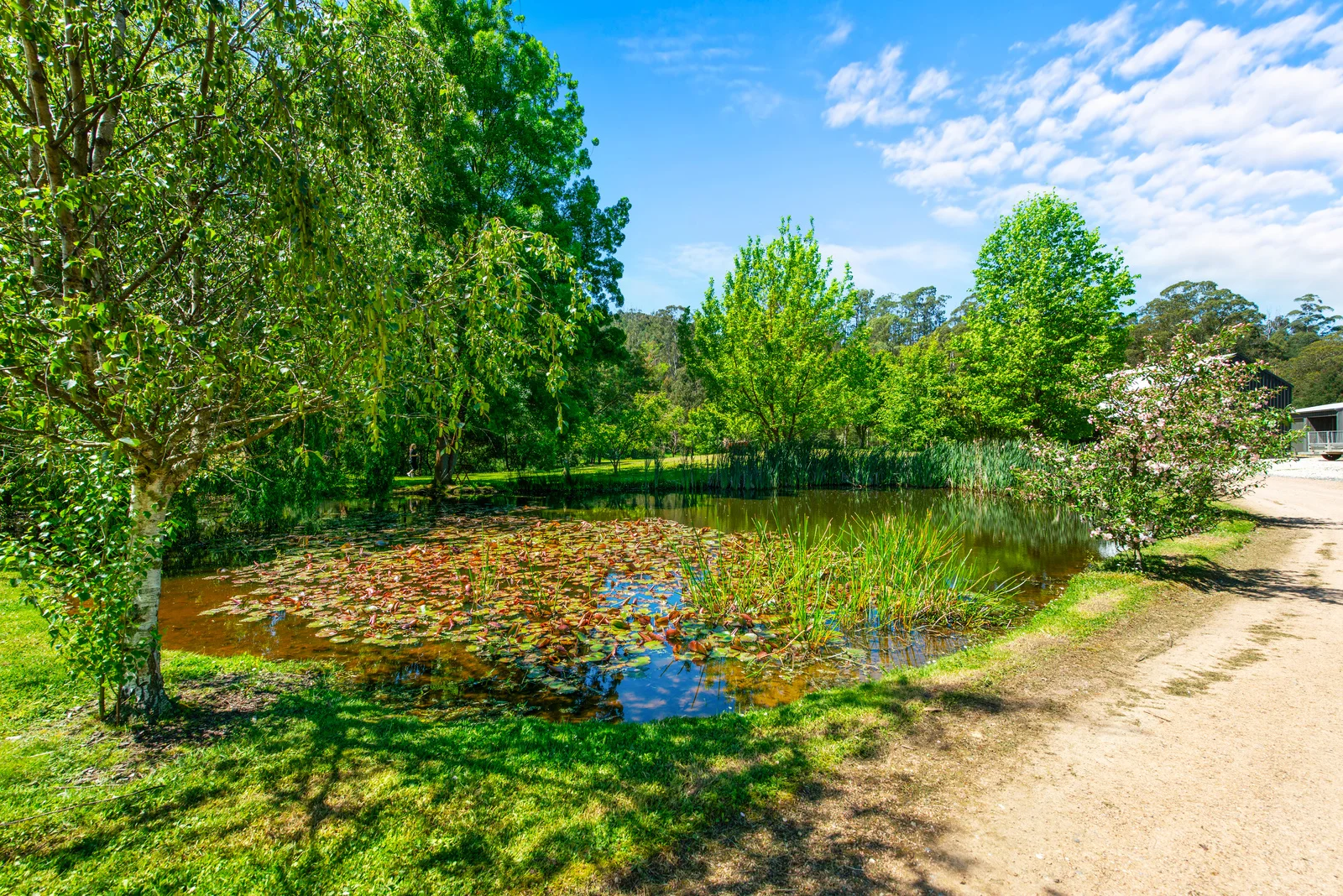 Additional image 38 of 1430 Traralgon Creek Road, Koornalla VIC 3844