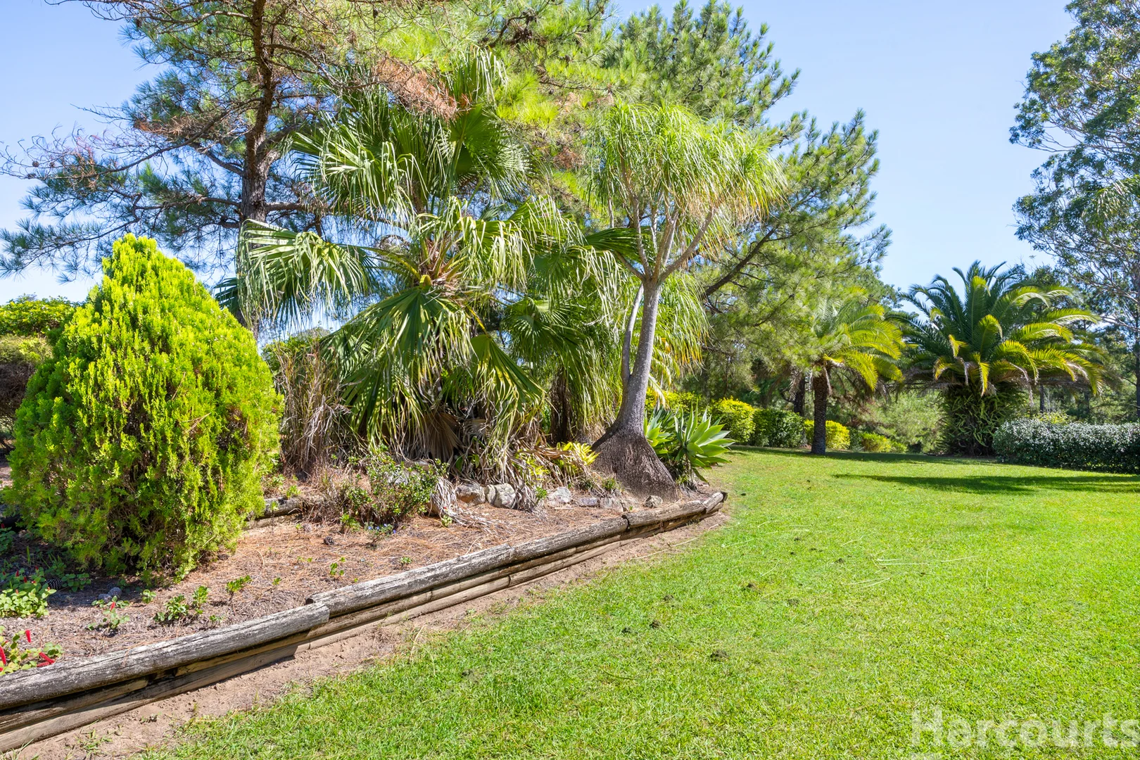 Additional image 14 of 104 Bunderra Drive, Beechwood NSW 2446