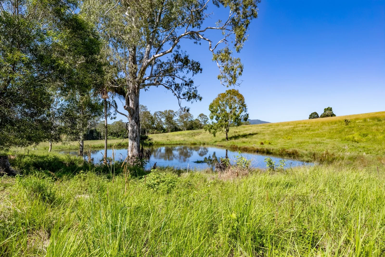 Additional image 11 of 55 Kewins Road, Glastonbury QLD 4570
