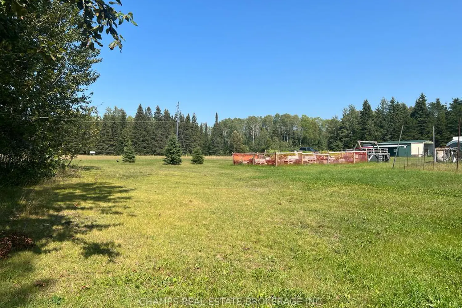 2528 Dawson Road photo 4