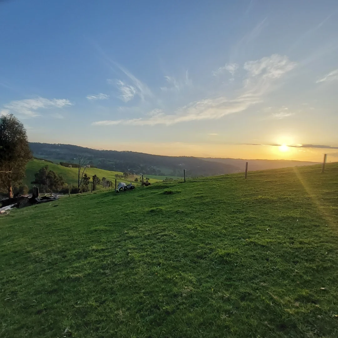 114 Healeys Road, Yinnar South VIC 3869