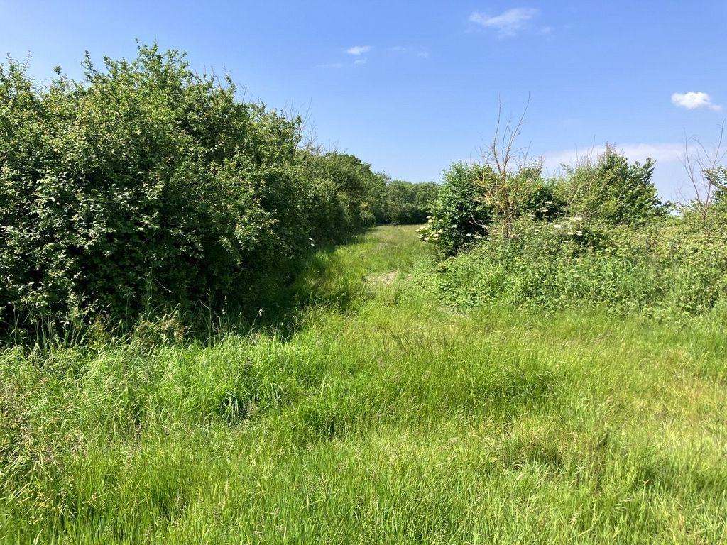 Additional image 14 of Land for salePuriton Hill, Puriton, Bridgwater, Somerset TA7