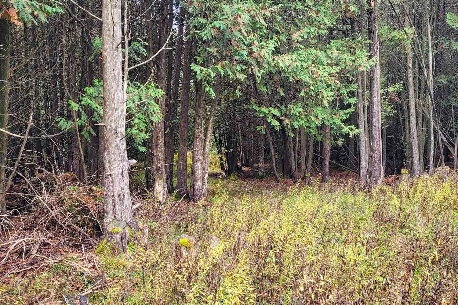 Additional image 4 of Pt Lt88 Highway 10