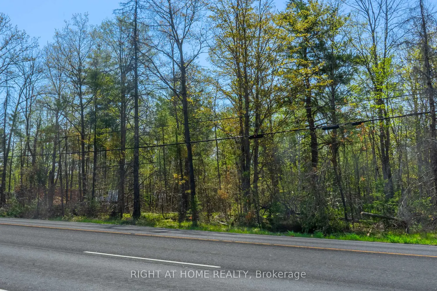 00 Hwy 7 Highway photo 3
