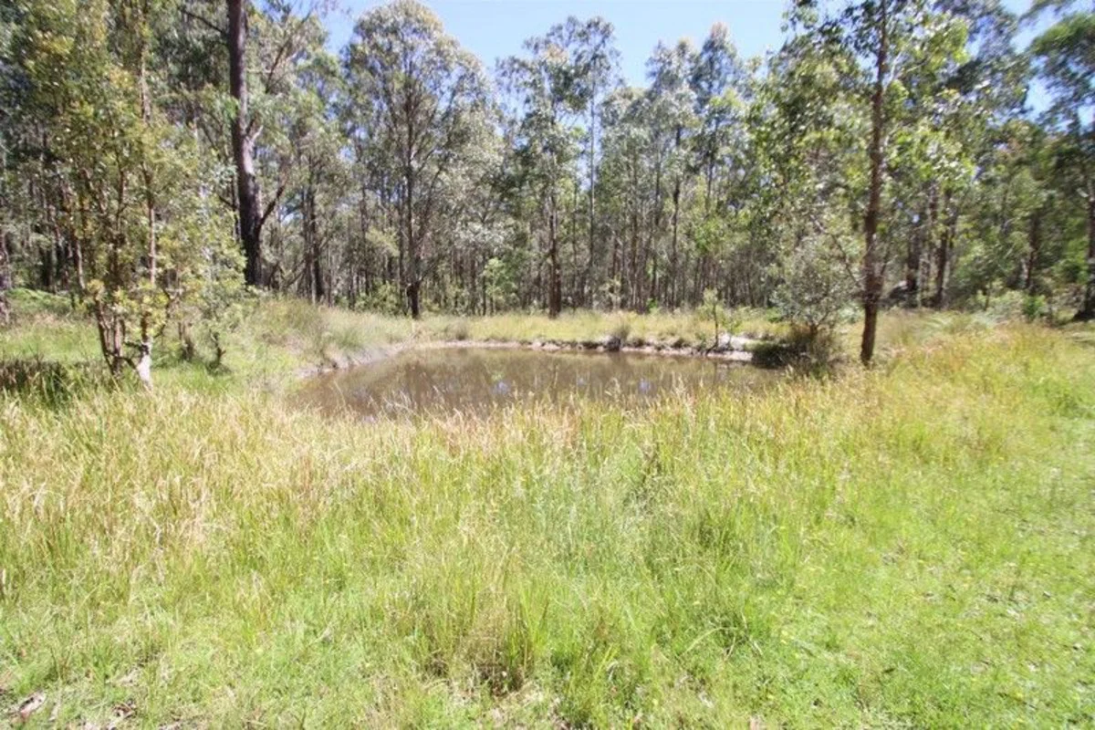 Additional image 18 of 1293 Mount Lindesay Road, Tenterfield NSW 2372