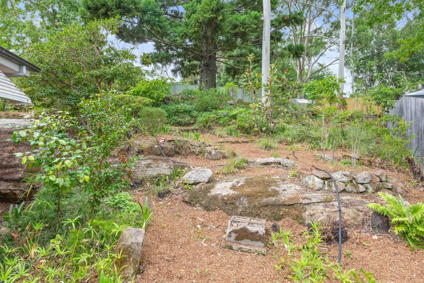 Additional image 10 of 107 Clarke Road, Hornsby NSW 2077