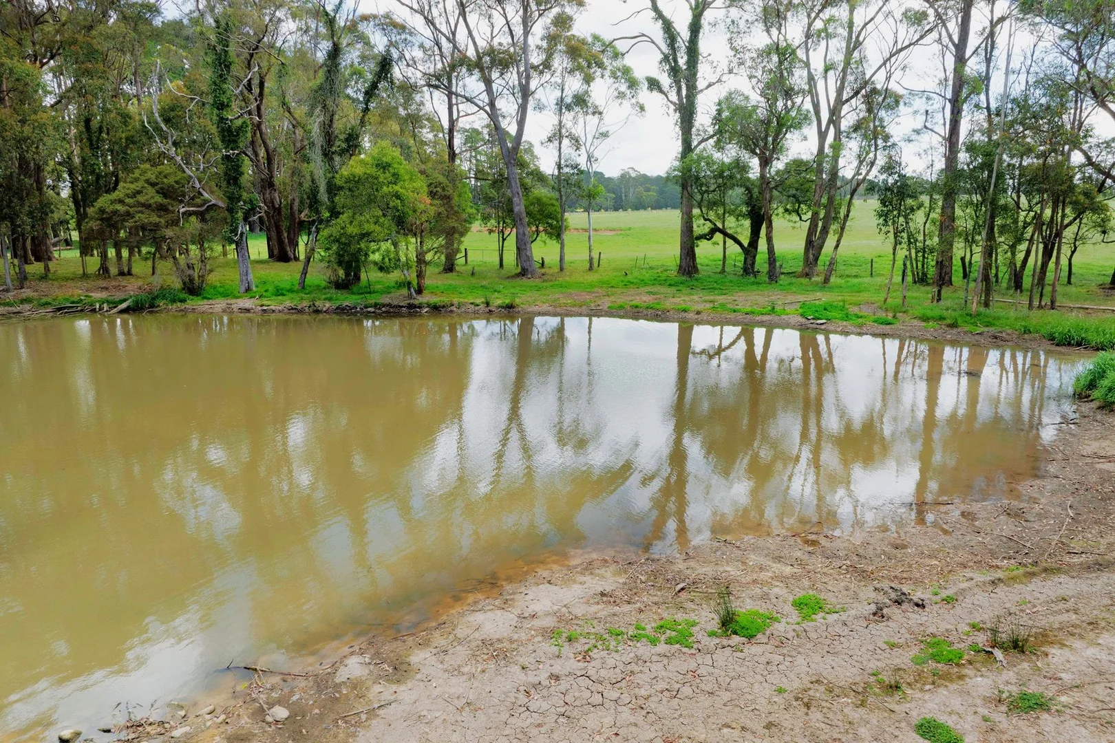 Additional image 17 of 1180 Sheepwash Road, Fitzroy Falls NSW 2577