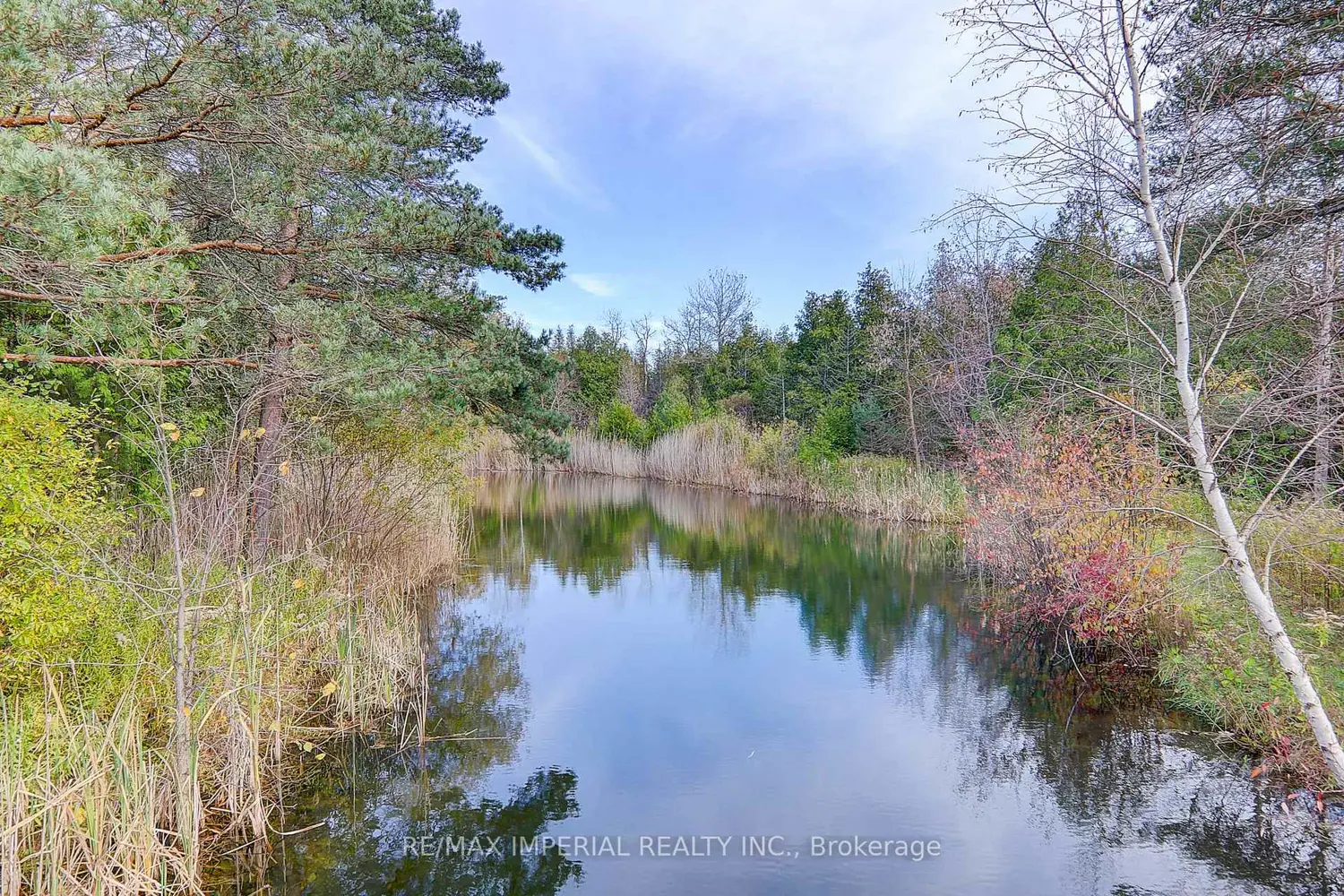 13231 Kennedy Road photo 5
