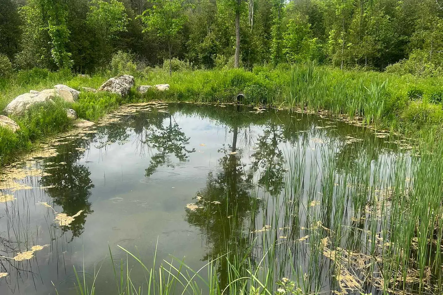 Additional image 17 of 104264 Grey Road 18