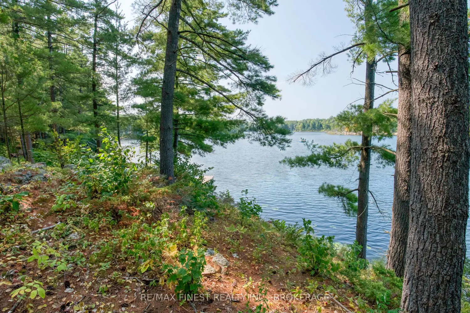 Additional image 12 of 1036A Twin Lake Lane