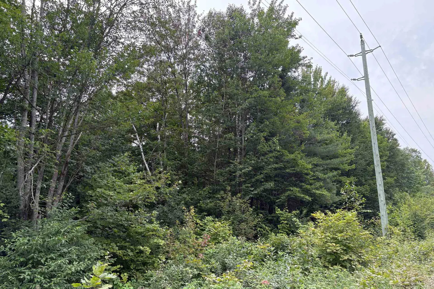 0 Hemlock Road
