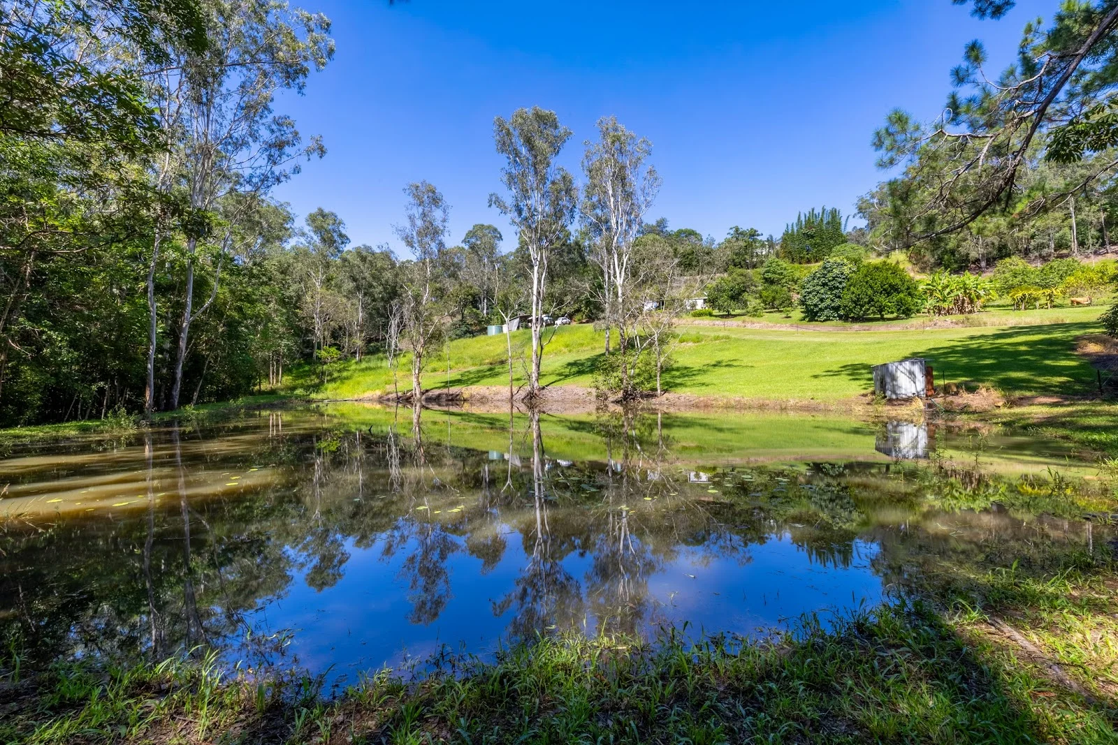 43 Houghtons Road, Landers Shoot QLD 4555 photo 2