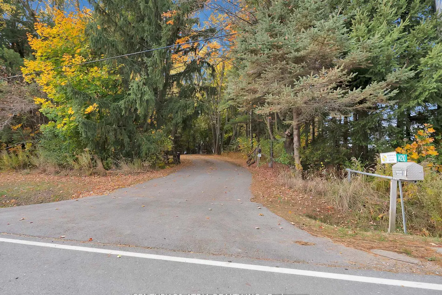 Additional image 19 of 14210 7Th Concession Road