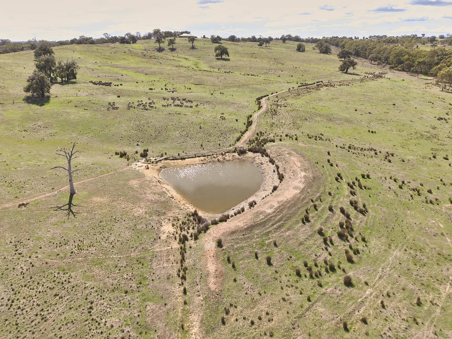 565 Dairy Flat Road, Heathcote VIC 3523 photo 5
