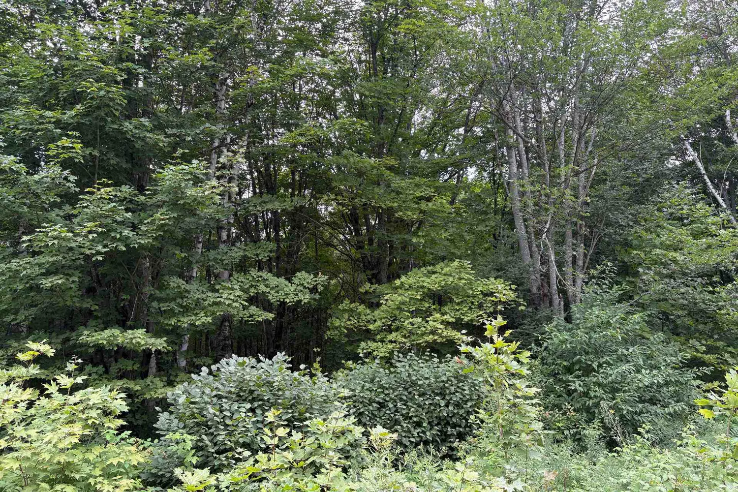 Additional image 2 of 0 Hemlock Road