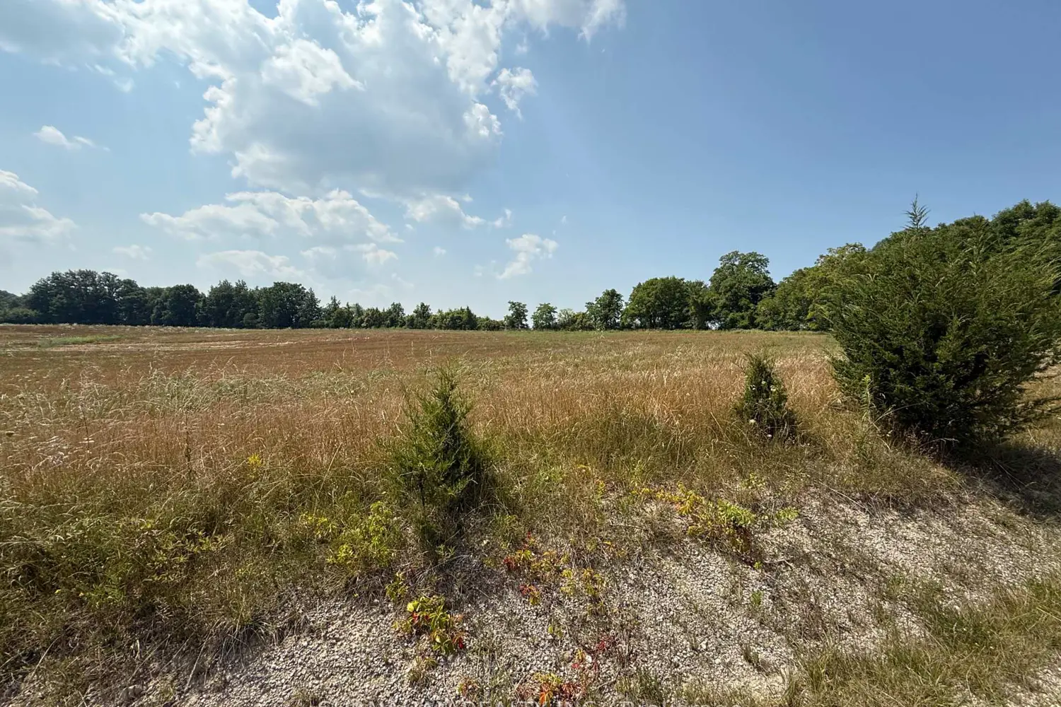 Additional image 6 of Ptlt 28 Sitter Road