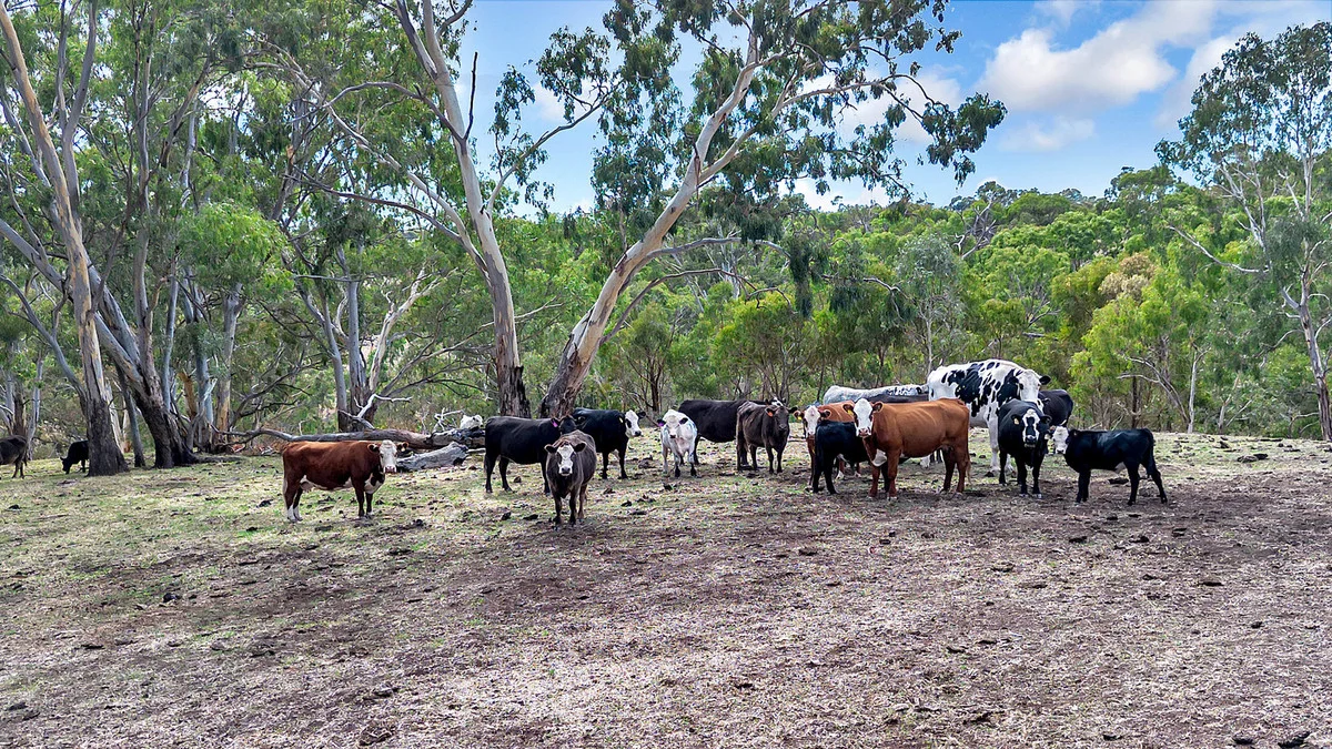 Additional image 33 of 1715 Kersbrook Road, Humbug Scrub SA 5114