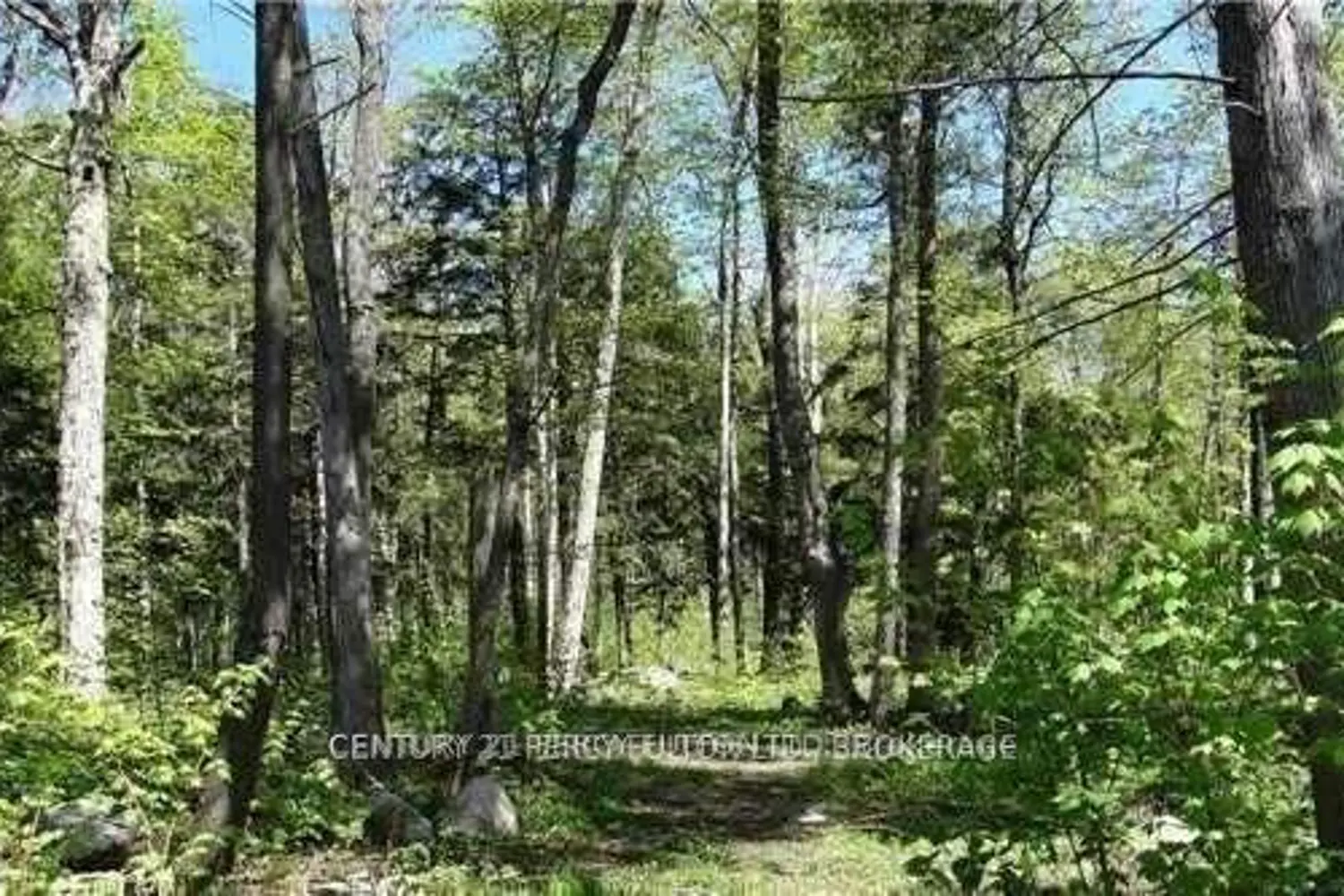 95 Nippissing Ridge Road photo 2