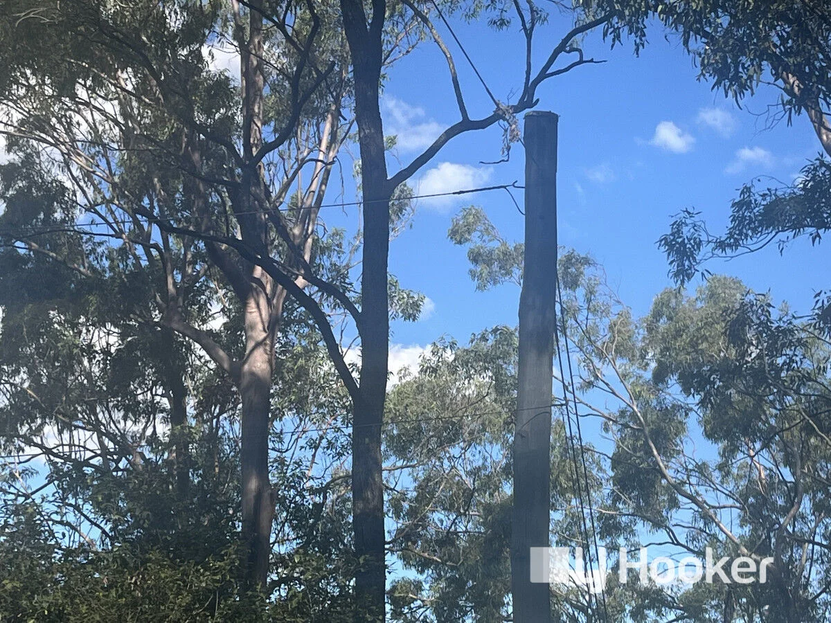 Additional image 18 of 134 Outlook Drive, Esk QLD 4312