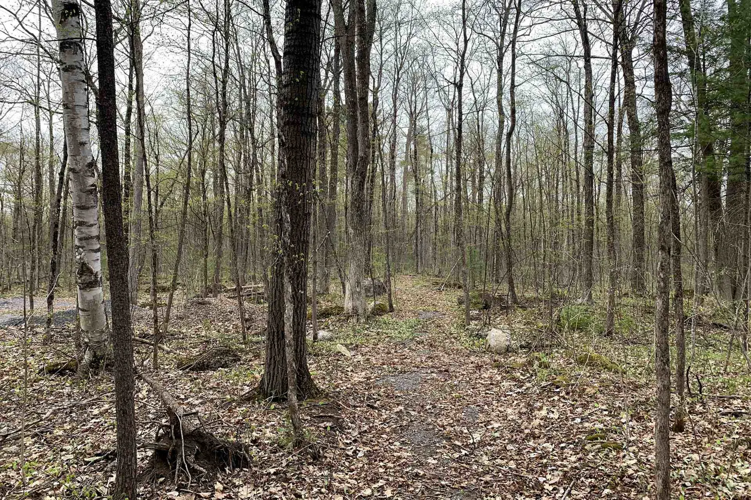 Additional image 2 of 00 O'toole Road