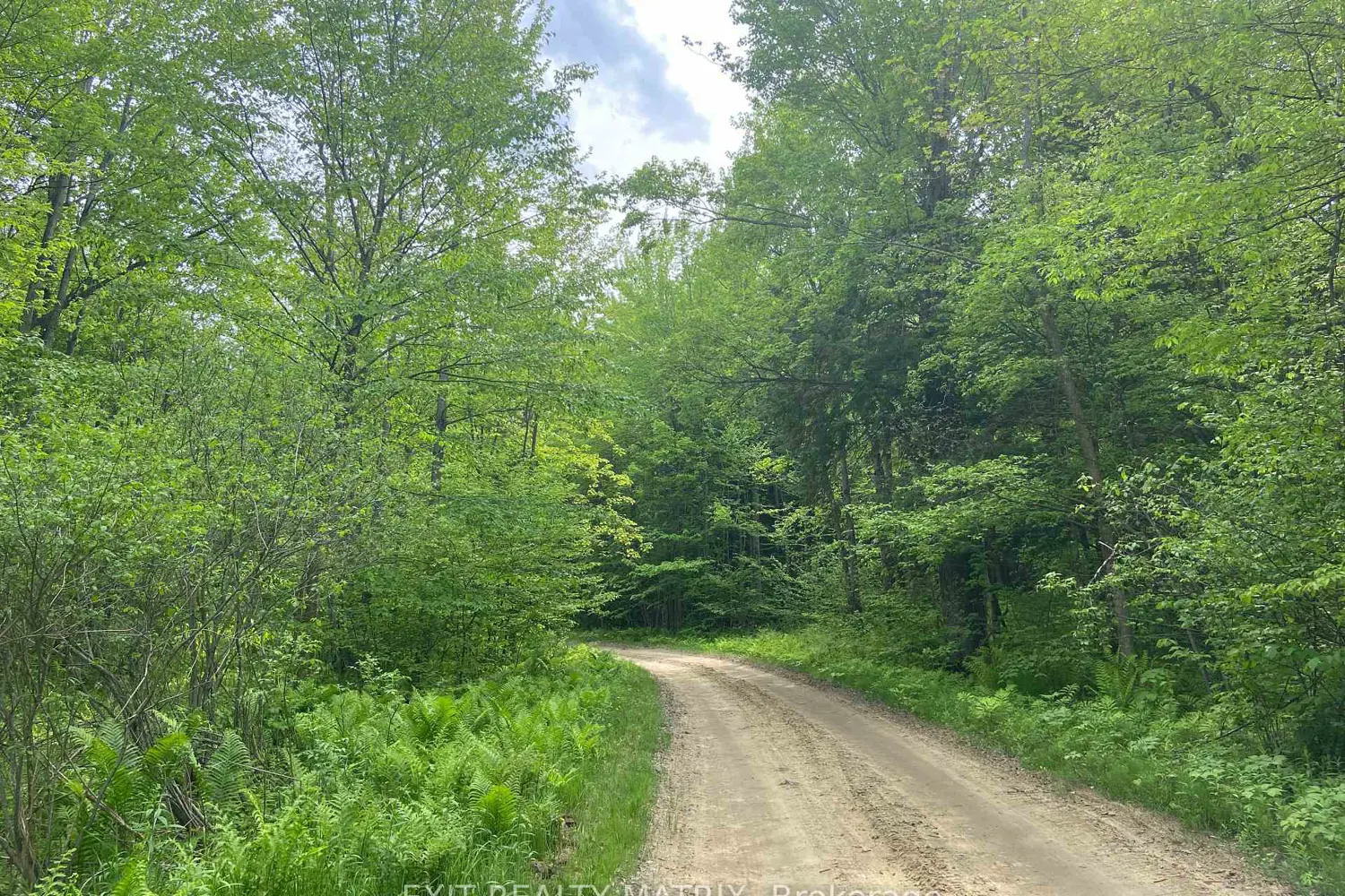 Additional image 5 of 5444 Saumure Road
