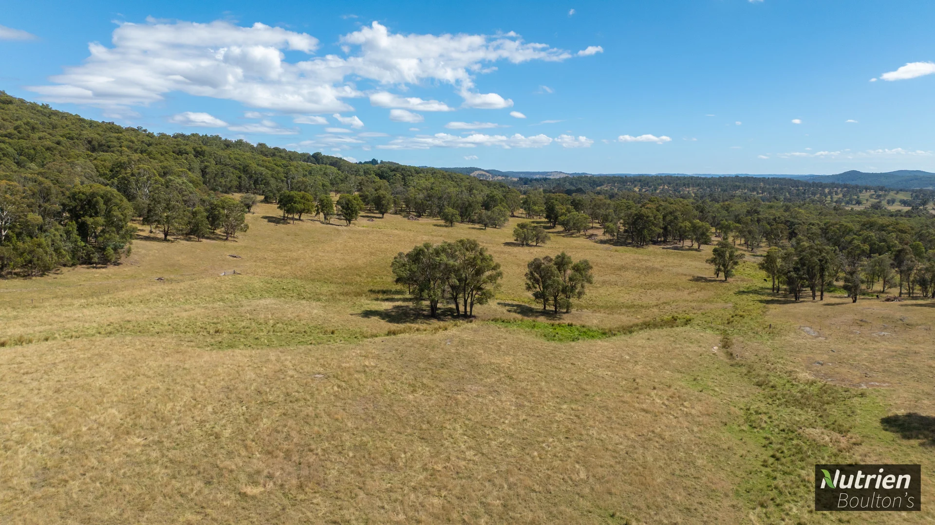 Additional image 33 of 224 Niangala-Walcha Road, Niangala NSW 2354