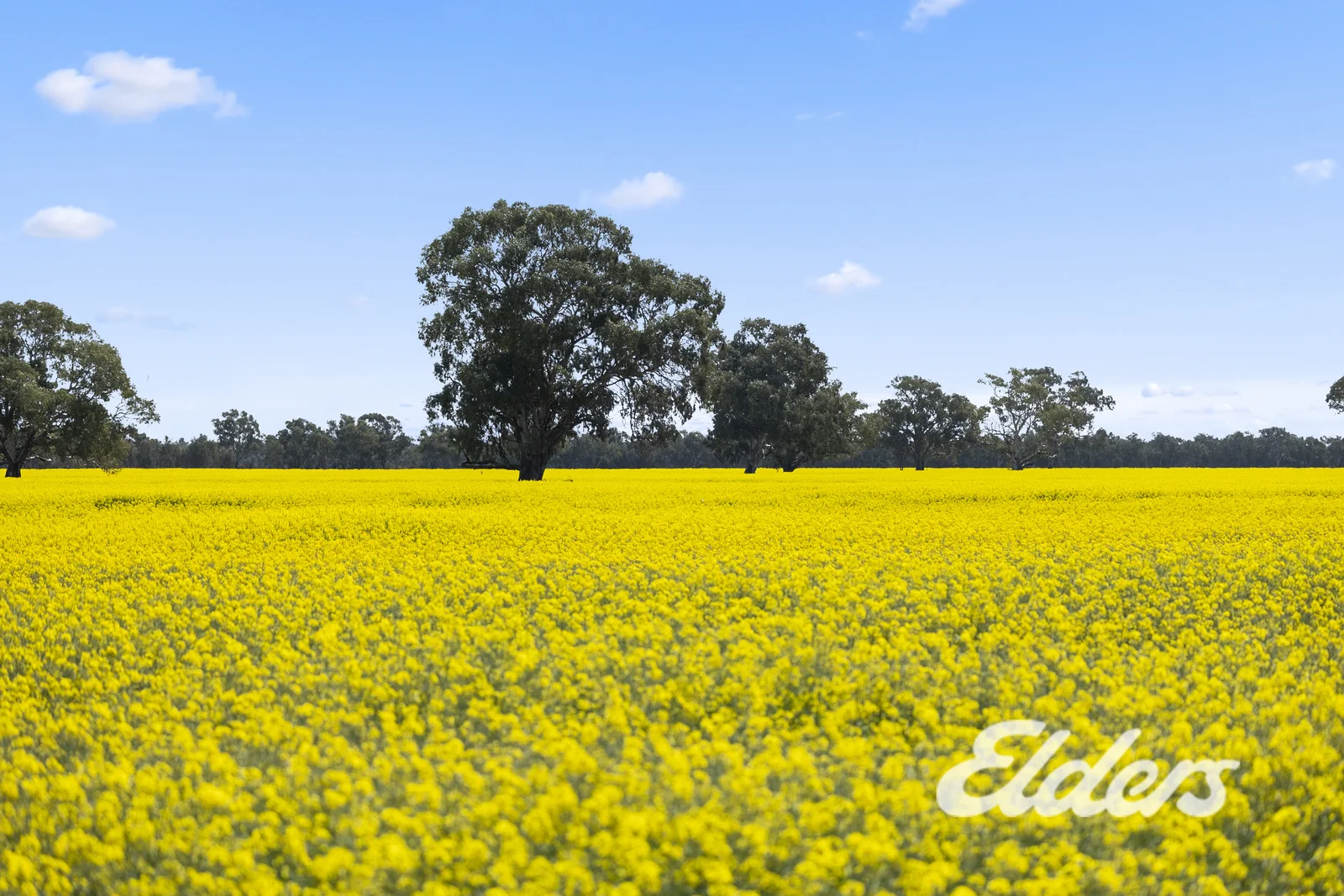 Additional image 2 of 235 Clearview Road, Savernake NSW 2646