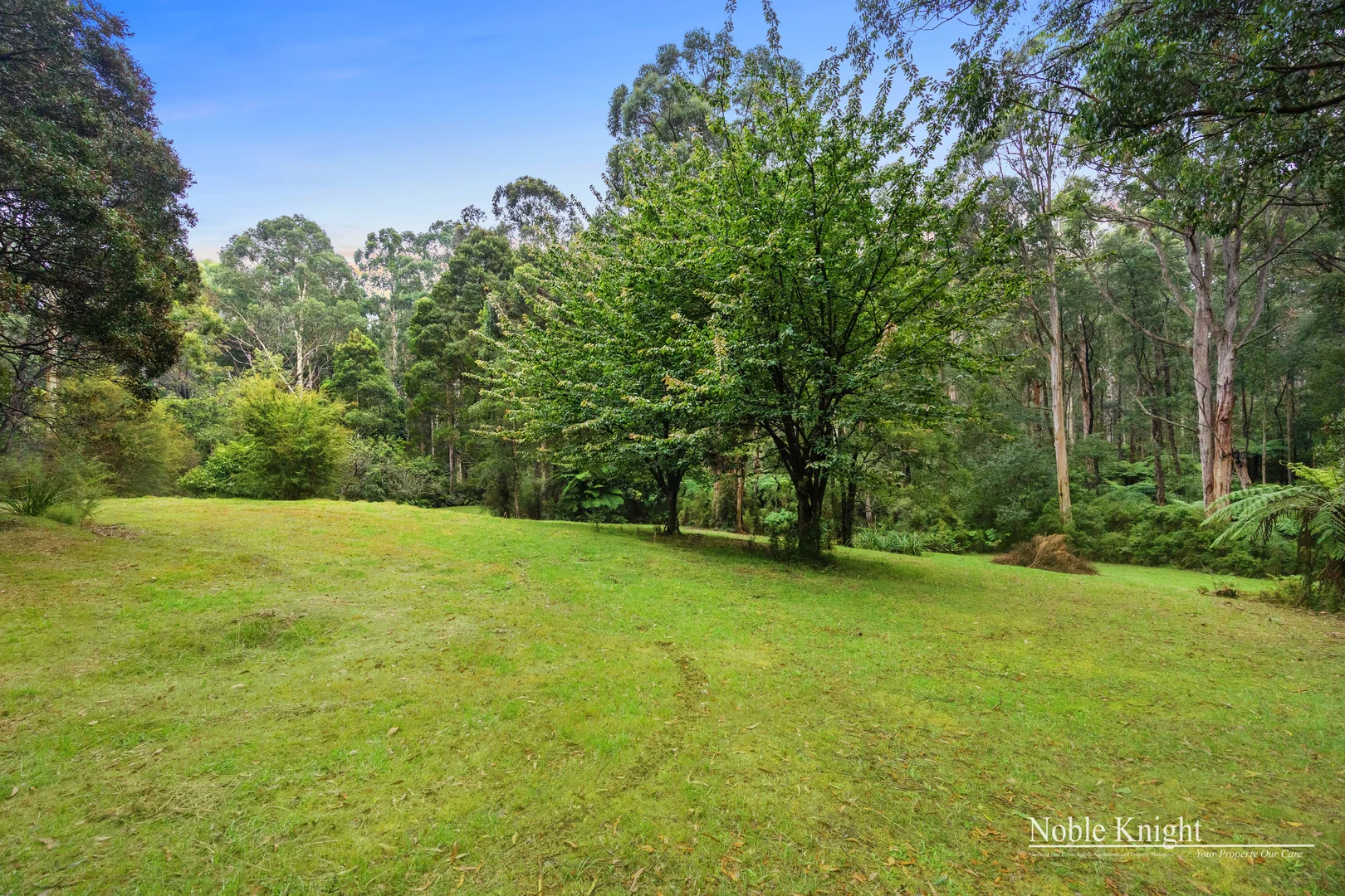 Additional image 15 of 424 Old Warburton Road, Warburton VIC 3799