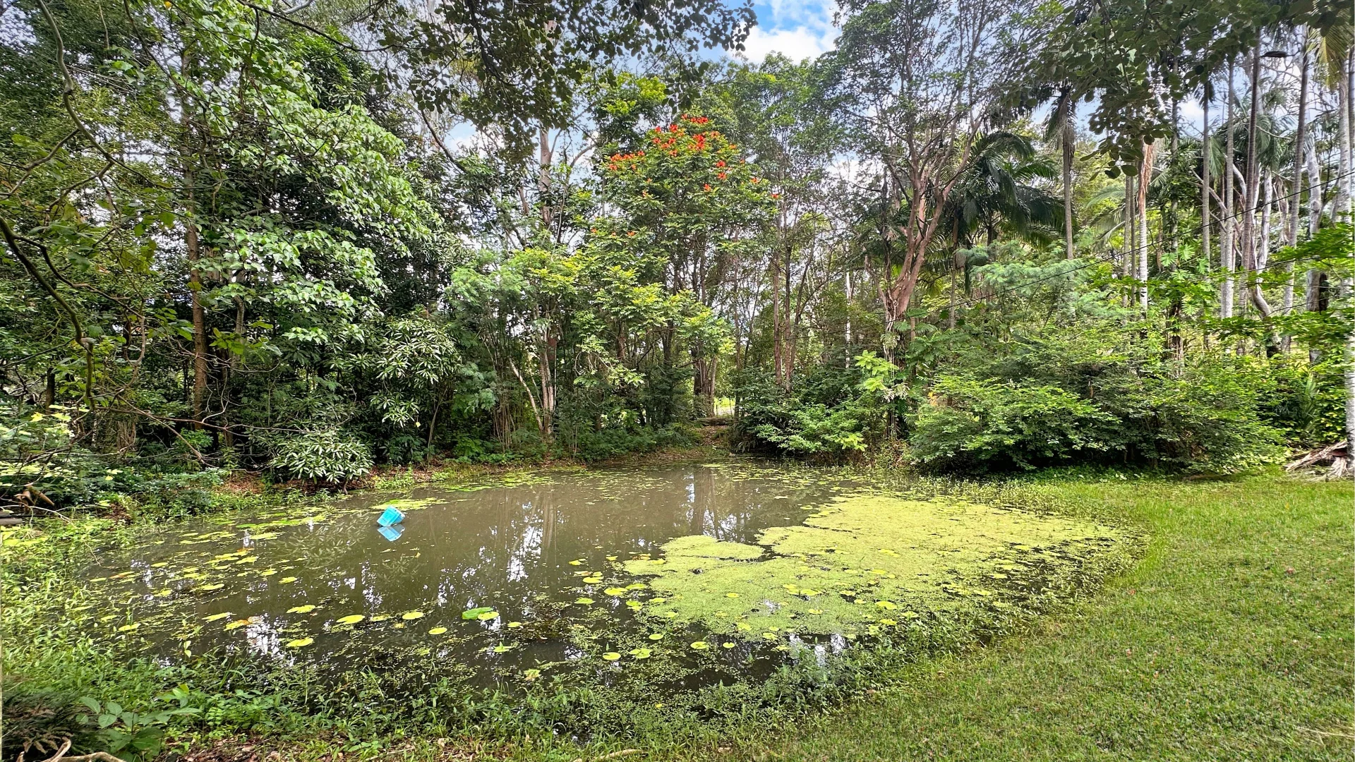Additional image 13 of 23 Henebery Road, Burnside QLD 4560