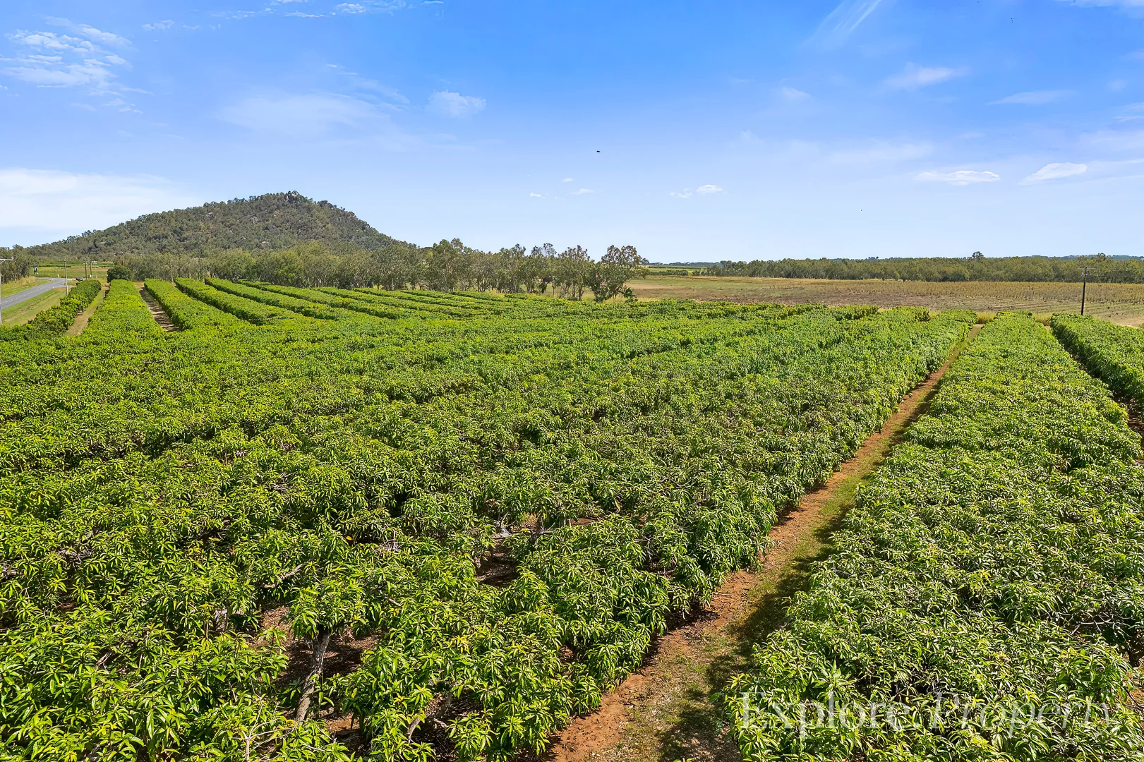 Additional image 11 of 440 Chewko Road, Mareeba QLD 4880